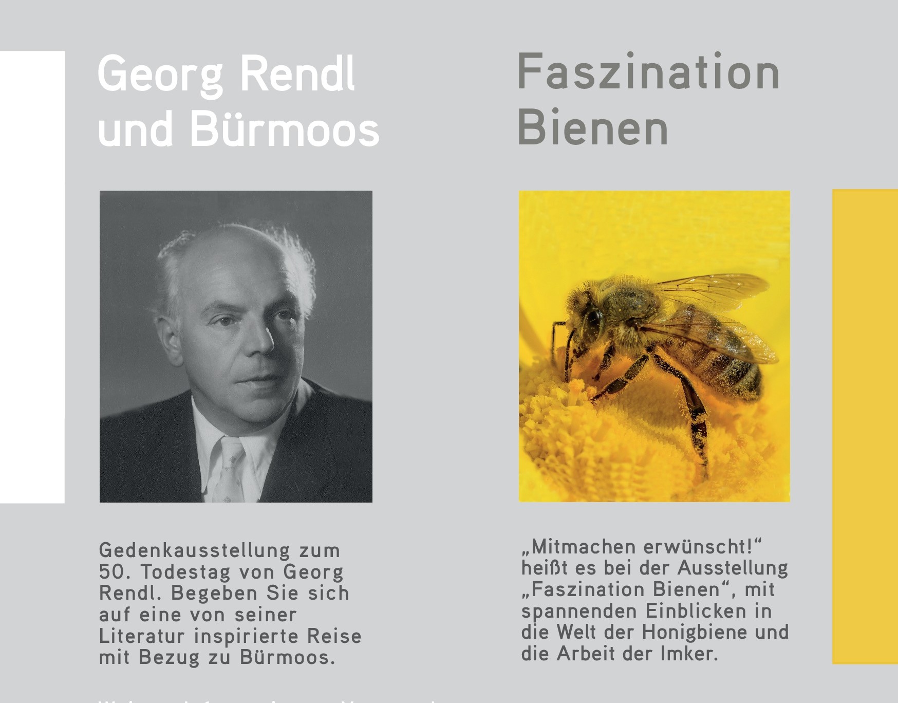 ausschnitt Plakat Rendl-Bienen